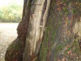 /album/integratie-3kk-1l/herfstwandeling-014-jpg/